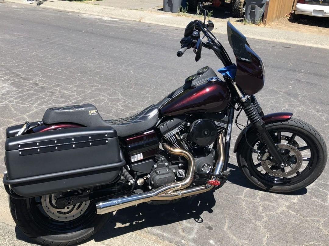 Dyna defender cheap saddlebags